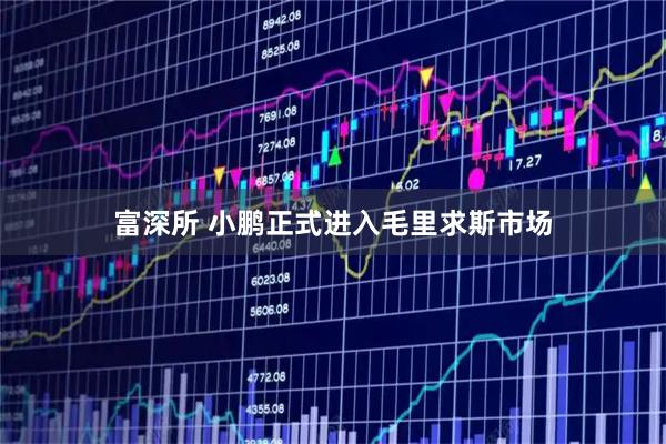 富深所 小鹏正式进入毛里求斯市场