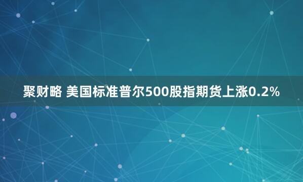 聚财略 美国标准普尔500股指期货上涨0.2%