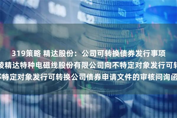 319策略 精达股份：公司可转换债券发行事项目前已披露了《关于铜陵精达特种电磁线股份有限公司向不特定对象发行可转换公司债券申请文件的审核问询函的回复》