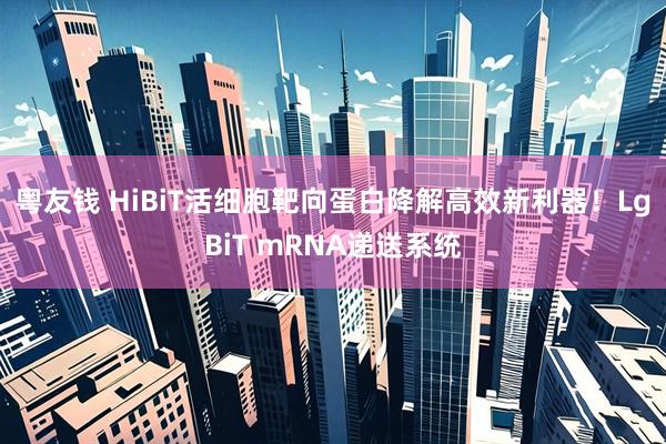 粤友钱 HiBiT活细胞靶向蛋白降解高效新利器！LgBiT mRNA递送系统